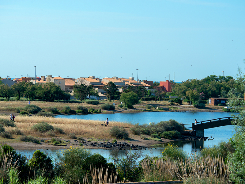 photo n°3 de Séminaires & Location de Salles au Cap d’Agde – Les Jardins du Cap 4*
